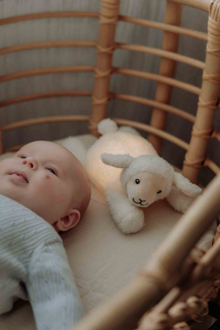 Rosie - Plush night light