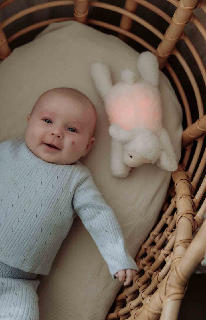 Rosie - Plush night light