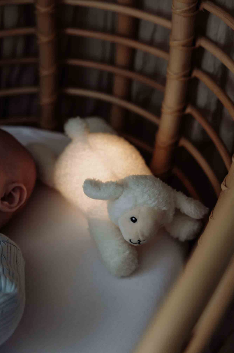 Rosie - Plush night light