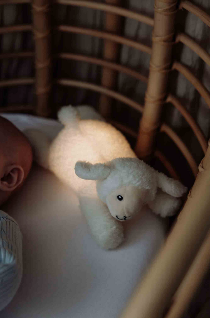 Rosie - Plush night light