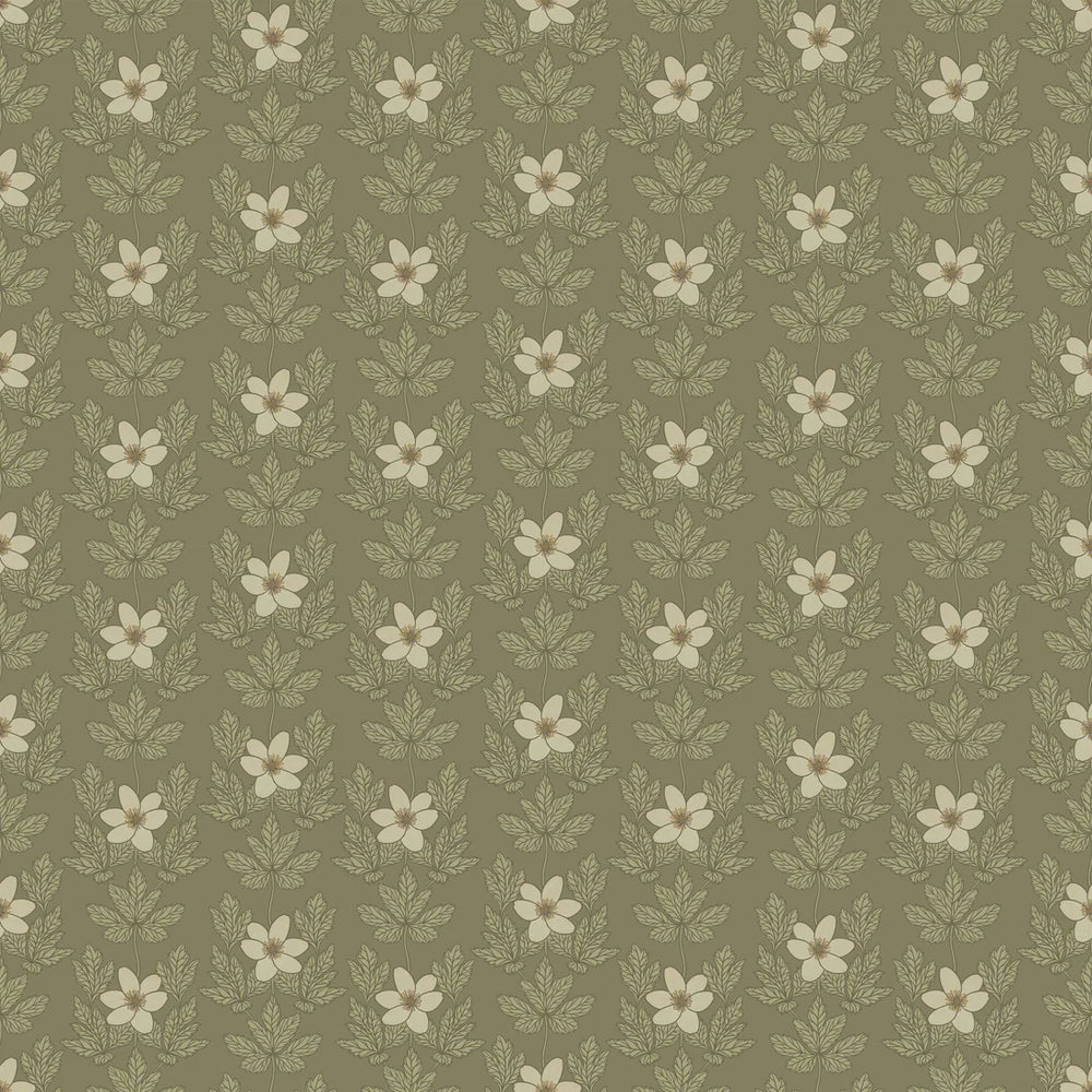 Summer Gray Wood Anemone Wallpaper Wood Anemone Green - Hola BB